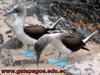 /album/fotogaleria-galeria-de-fotos/images-5-jpg/